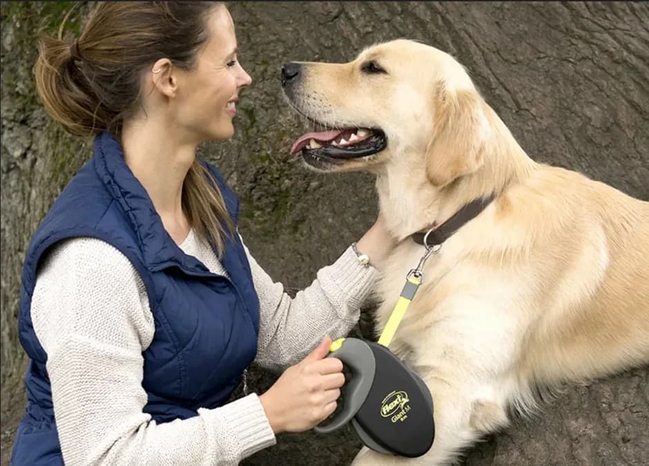 Нейлоновые поводки для собак, оптовая партия на складе в Китае, цена от 100 рублей за штуку