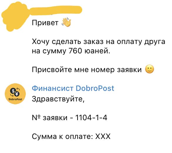 Пример счета AliPay для услуги «Оплата друга»